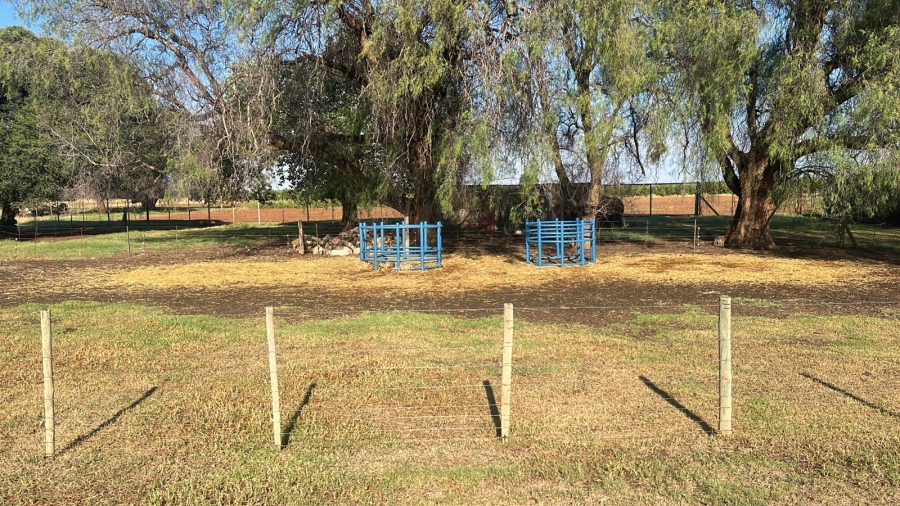 Commercial Property for Sale in Arcadia SH Free State